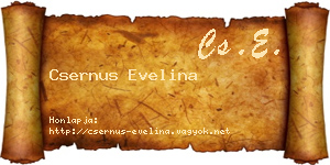 Csernus Evelina névjegykártya